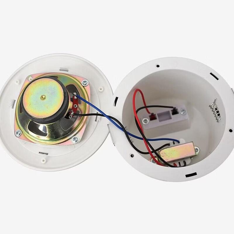 Brangdy Full-Range Ceiling Speaker