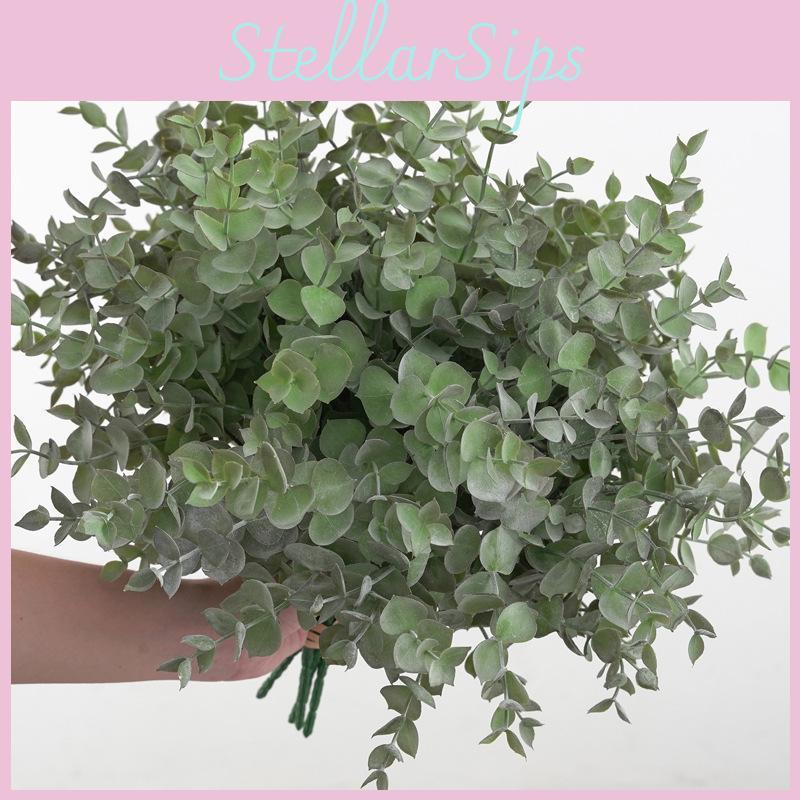 Eucalyptus Globulus Plant Foliage For Home Enhancement Photography Prop