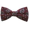 Accesorios – Corbata de moño