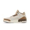 Air Jordan 3 JRetro Palomino Men's CT8532-102