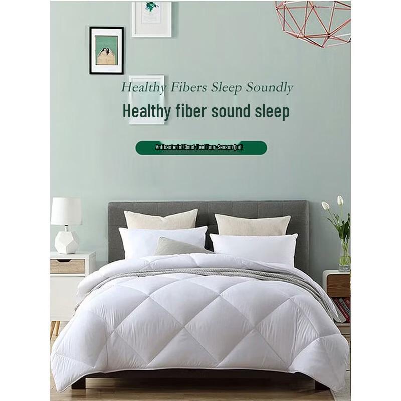 Mengjie Cloud Feel All-Season Quilt
