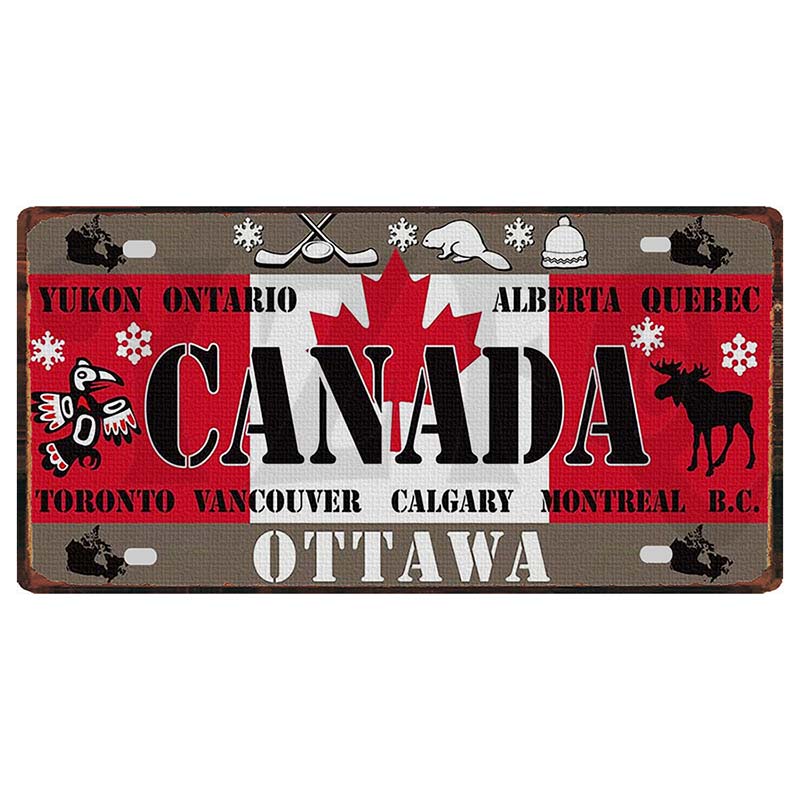 YZFQ Mexico Spain Metal Tin Sign Colombia USA Poster For Wall Restaurant Bar Home Decor 30X15CM Customizable DC-1512A