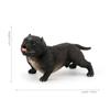 Animal Model Simulation Bulldog Educational Pitbull Figurine Children Toys Bulldog Model  Kids Toy
