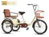 Pingxiang Adult Pedal-Powered Tricycle: Two-Seater Mobility Scooter & Rickshaw