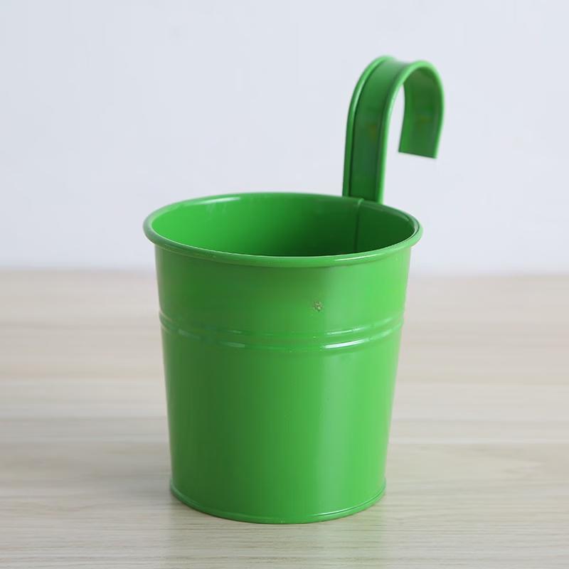 Yingtang Iron Hanging Planter with Hooks