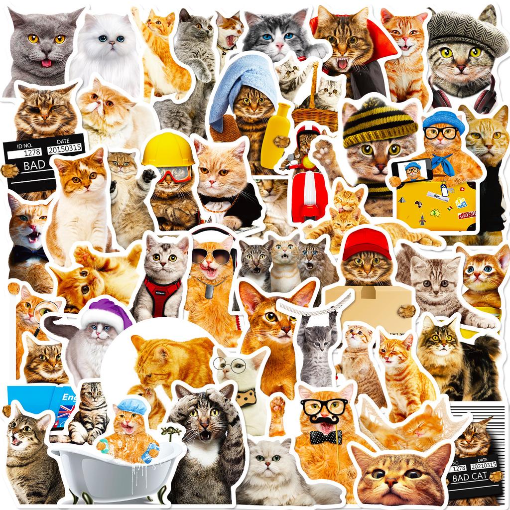 50 Realistic Cat Stickers, Fun Diy Children'S Stickers, Concentration, Small Animals, Cute Cats
