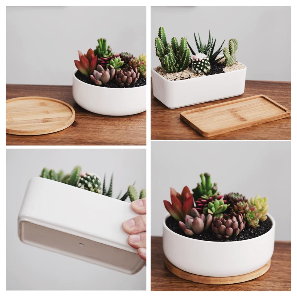 FaceColor Ceramic Succulent Cactus Set of 2 Round and One Mini Bonsai Pots with Drainage Holes and White Suitable for Living and Gardens Not Pots,
