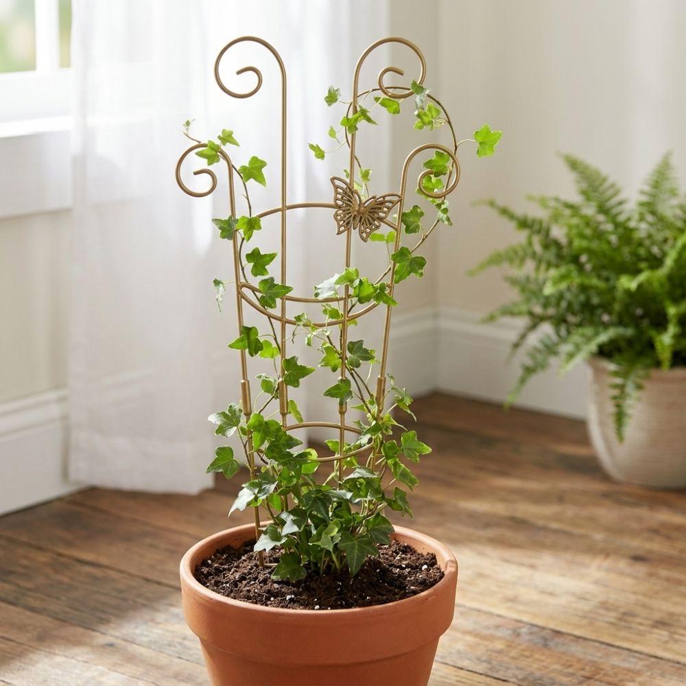 Verdickter Blumentopfhalter Schmetterlingsförmiger Pflanzenstützrahmen Balkongarten
