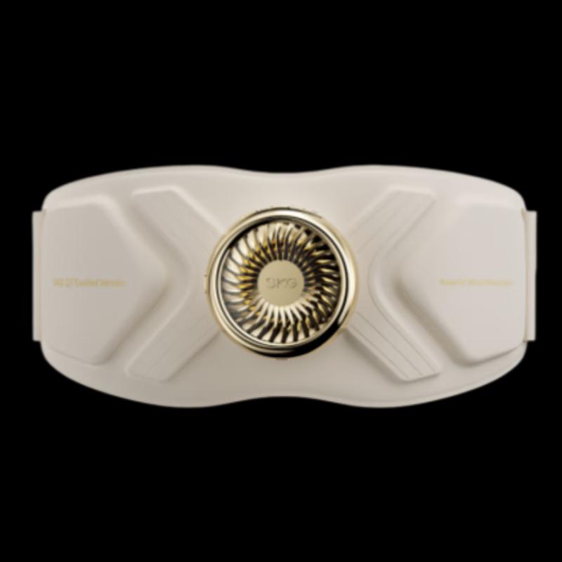 

SKG Q7 Deluxe Smart Abdominal Massager CN plug (adapter included)