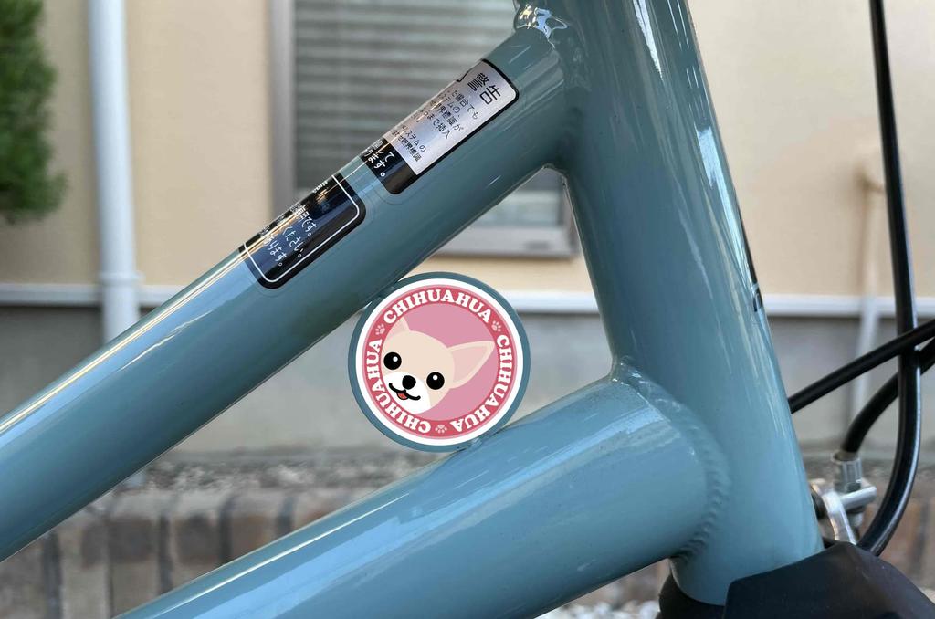 Stare Chihuahua Smooth Cream & White Dog Sticker Pink Back Round L + SS Size [Set of 4] MK-3