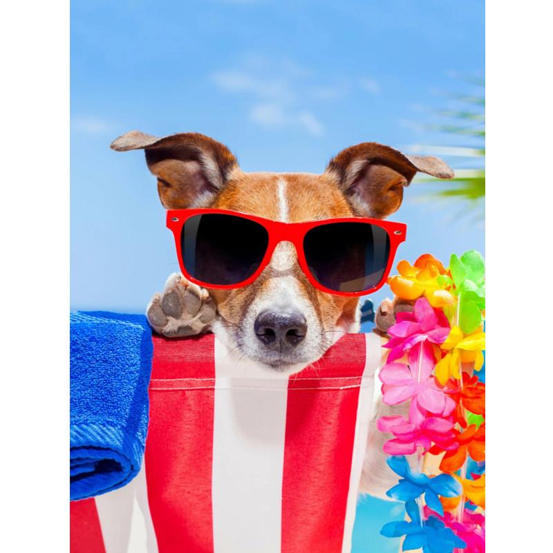 5D-Diamantmalerei zum Selbermachen, fröhlicher cooler Strandhund, Diamantstickerei, Kreuzstich-Set, voller Strass, Mosaik, Heimdekoration