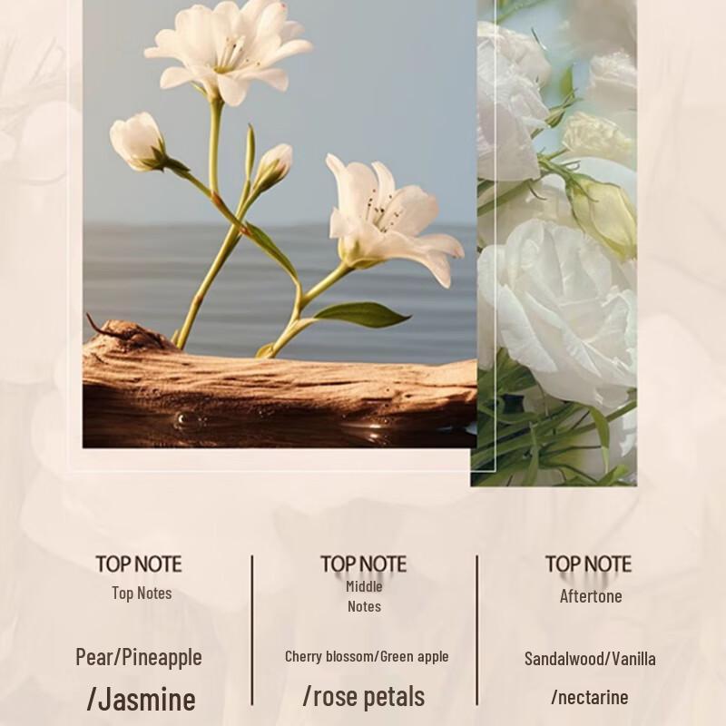 Sleek Ginger Shampoo