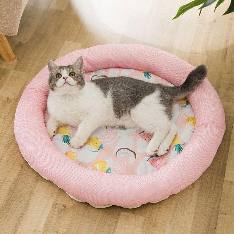 cool cat beds