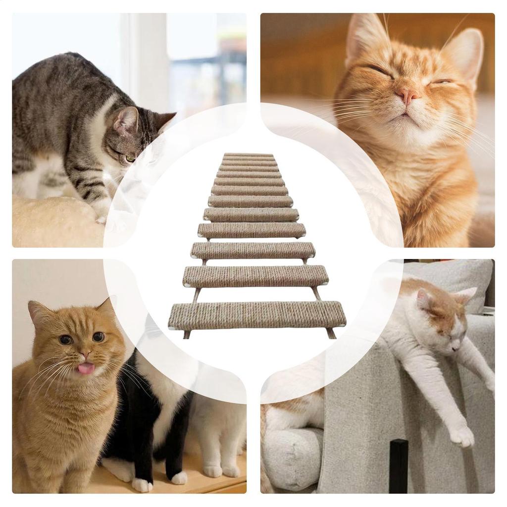 Échelle Murale pour Chat 40 Pouces Griffoir pour Chaton Structure d'Escalade pour Chat d'Intérieur Pour Parents d'Animaux Domestiques Entraîneurs Amoureux des Animaux Bureau