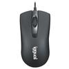 Mus iggual IGG317648