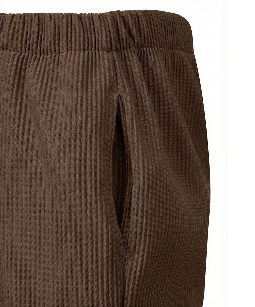 Akebteu Pt11X Pleated Wide Pintuck Pants [Brown]