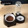 Pet Bowl: 2-in-1 Cat & Dog Feeding and Water Bowl