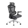 Scaun de Birou Ergonomic SIHOO Doro C300 Pro - Cotiere 5D, Suport Lombar Auto-Reglabil, Spătar din Plasă