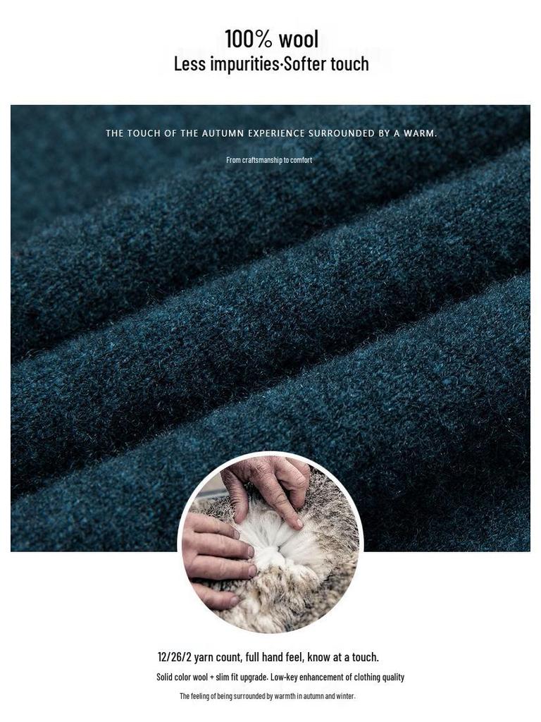 Men's 2025 Autumn/Winter Pure Wool Round Neck Sweater - Solid Color Knit