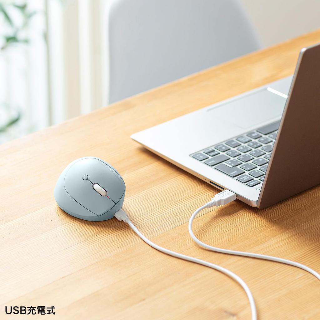 SANWA SUPPLY Silent Wireless Combo Compact Ergonomic Mouse (Rechargeable, 5 Buttons, Blue) MA-EWBBS522BL