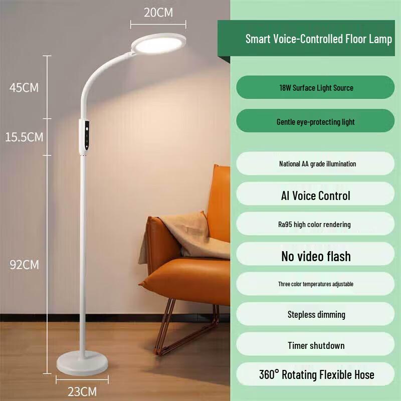 Newman Multi-functional Voice-Controlled Eye-Protection Floor Lamp