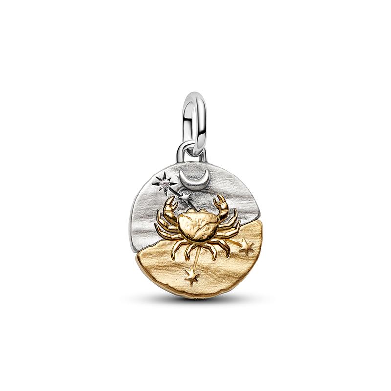 New 925 Silver Summer Coin Twelve Constellation Carving Hang Tag Charm Beads Suitable for Bracelets, Necklaces, Fashion Jewelry