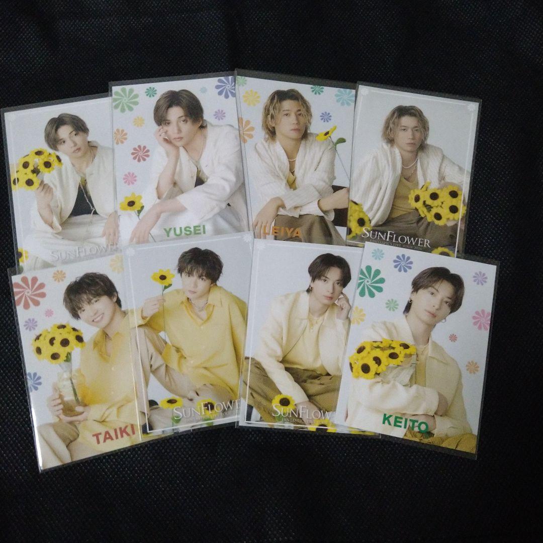 Used SUNFLOWER Normal Photoca Yusei Yagi Reiya Seguchi Keito Kimura Daiki Sato