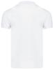 J.Style - Men' Polo Shirt - 8T80-1