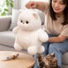 Chubby Shape White Cat Plush Toy Soft Toys Cat Doll Ideal Gift Stuffed Animal  Home Decor