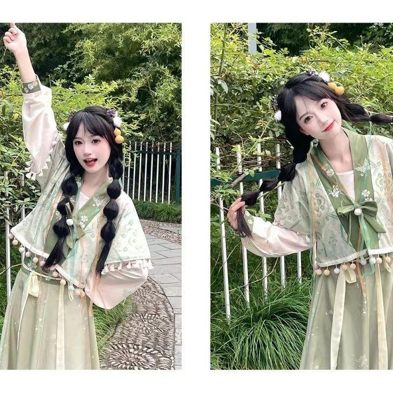 Hanfu sako ve stylu čínské dynastie Tchang, vyšívaný kabát Tang Bei Zi a sukňový komplet pro ženy