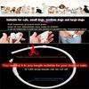 Adjustable USB Rechargeable LED Dog Collar Multi-Color Soft 4 Flashing Modes Cut- to- Fit Design for Nighttime Safety Visibility