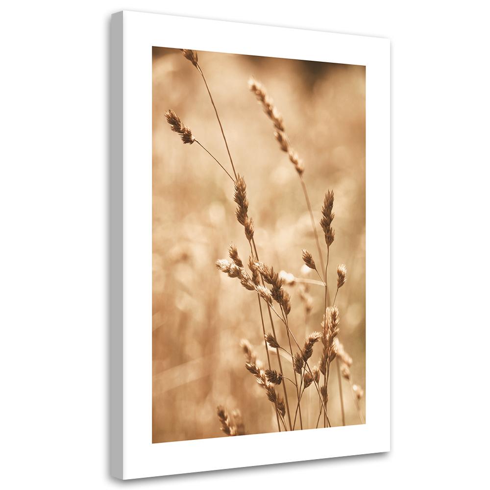Canvas Print, Grass Nature Meadow