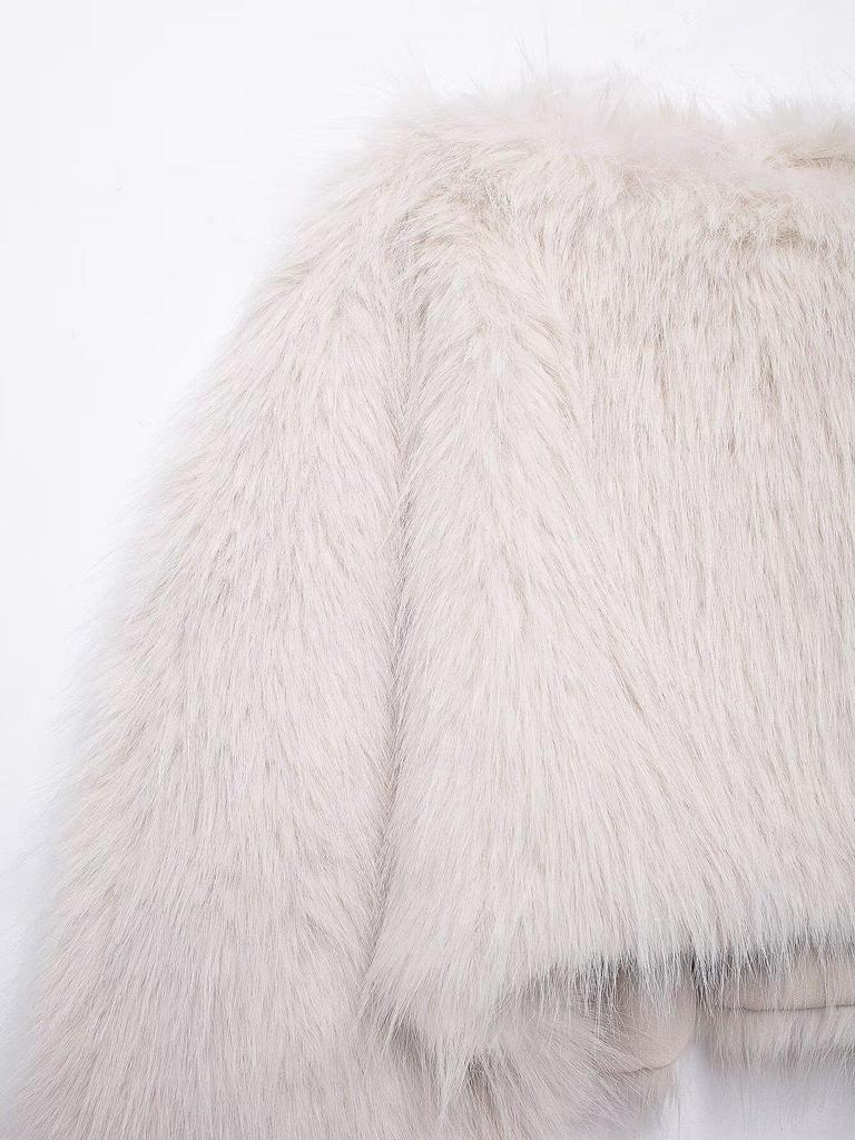 Women's High-End Faux Fur Pullover Coat - Autumn/Winter Versatile Short Style