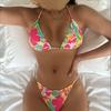 2025 New Printed Two-piece Swimsuit for Women, with A Small Chest That Gathers The Hot Spring, Is A Sexy European and American Swimming Suit Bikini