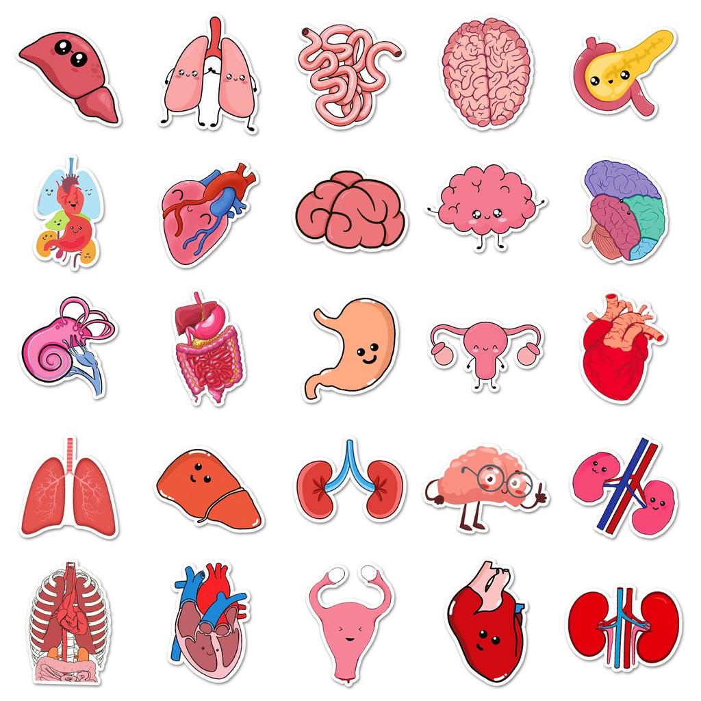 50 Cartoon Human Organ Stickers: Educational & Creative Waterproof Decor for Kids, Phones, & Journals