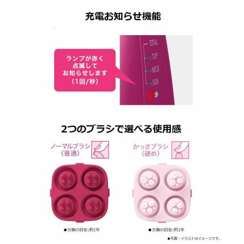 Panasonic scalp beauty salon touch type pink EH-HE9A-P