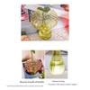 M-Modern-Set Of 5 Colored Plant Propagation Station Mini Glass Terrarium For Plants, Unique Small Glass Vase