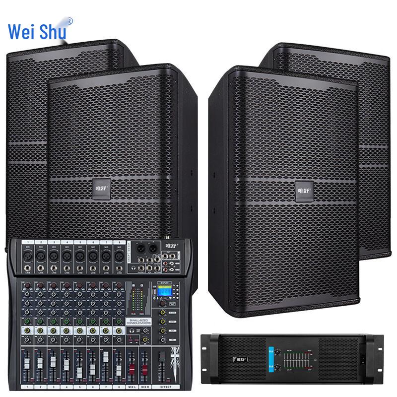WeiShu PC-610A 10-inch Full-Range Passive Professional Speaker