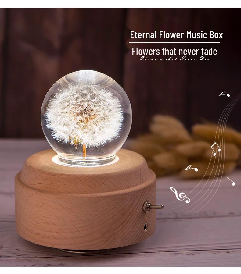 Crystal Ball Music Box Night Light: Multi-Pattern Warm Decor & Gift