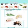 Detailed Pvc Miniature Insect Models Including Grasshopper Bee And Spider For Education