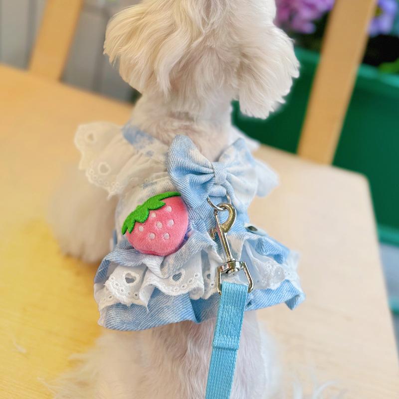 

Одежда для питомцев Корейская версия Одежда для померанского шпица Платье-принцесса с поводком Новая весенне-летняя одежда XL синий