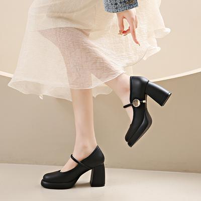 Large Size Women's Shoes Buckle Strap Single Shoes Women's Spring New Retro Versatile Skirt High-heeled Mary Jane Shoes