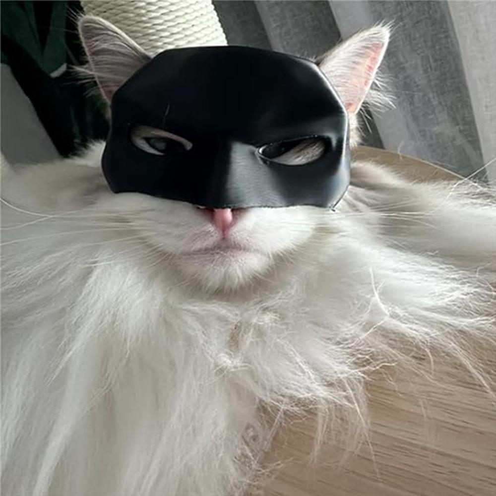 1× Plastic Bat Mask for Cats for Halloween Cosplay