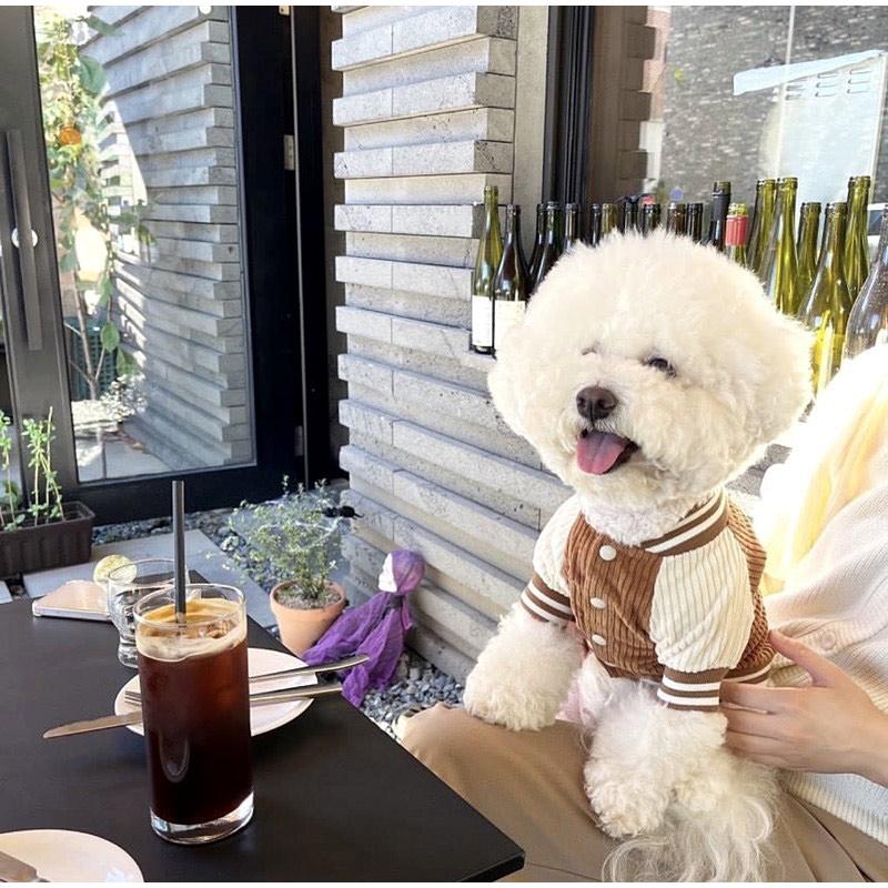 Korean-style Dog Baseball Jacket  Pet Jackets For Small  Medium Cat  Teddy Warm Fashionable Pet Clothing For Puppies