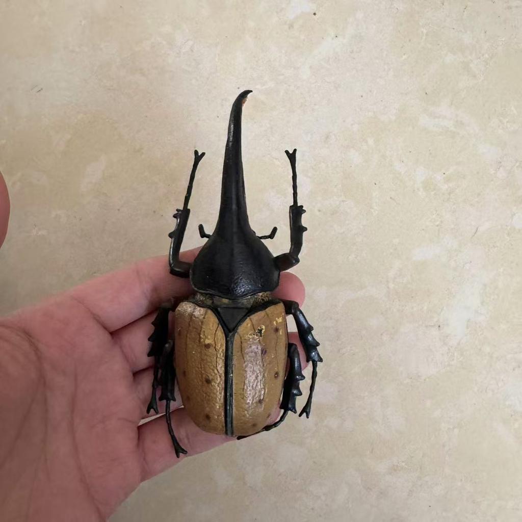 Biographical Analysis of Deer Antler Beetle and Claw Shaped Insect Beetle Gacha Simulation Animal Movable Joints Figure Toys