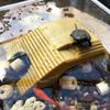 Plastic Turtle Basking Table Adjustable Turtle Climbing Platform Reptile Platform  Fish Tanks