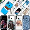 Cute Walrus For Huawei Nova Y90 Y91 Y60 Y70 Y72 Y61 9 10 SE 12i 12s 11i 5T P60 Pro P20 P30 P40 Lite Case
