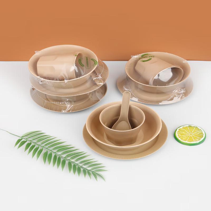 Disposable Ceramic Tableware Set