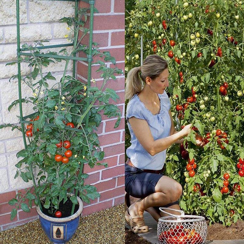 Diy Plant Supports Vegetable Growing Frame Tomato Pole Plastic-Coated Steel Trellis 80/120/160Cm Height 11Mm Thick Plant Stakes