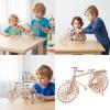 Wooden Cycle Model Construction Set For Children STEM Learning Toy Featuring Hands On Assembly And Interactive Play
